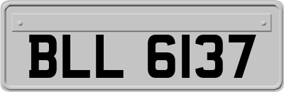 BLL6137