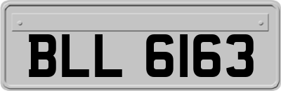 BLL6163