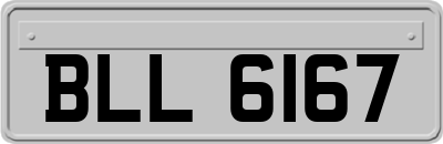 BLL6167