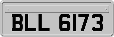 BLL6173