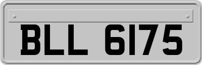 BLL6175