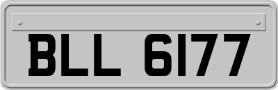 BLL6177