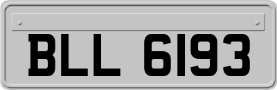 BLL6193