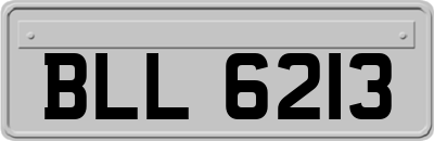 BLL6213