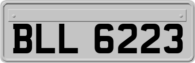 BLL6223