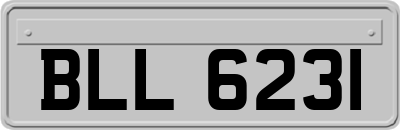 BLL6231