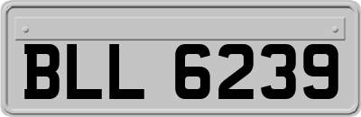 BLL6239