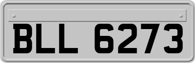 BLL6273