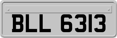 BLL6313