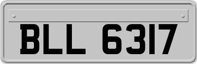 BLL6317