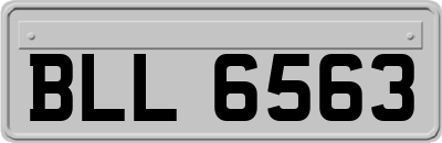 BLL6563
