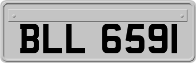 BLL6591