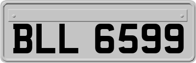 BLL6599