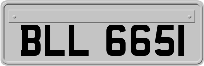 BLL6651