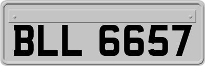 BLL6657