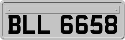 BLL6658