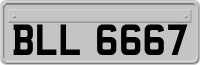BLL6667