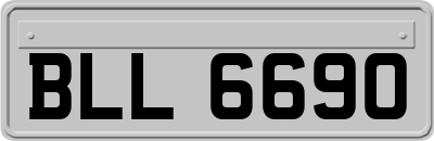 BLL6690