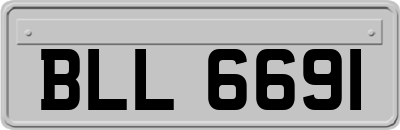 BLL6691