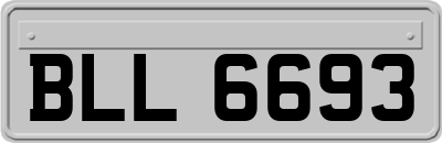 BLL6693