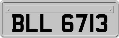 BLL6713