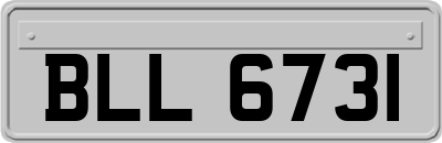 BLL6731