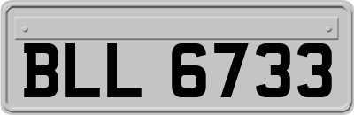 BLL6733