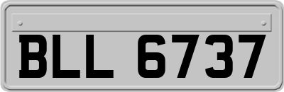 BLL6737
