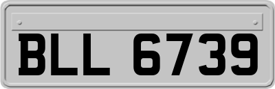 BLL6739