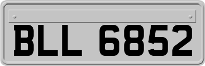 BLL6852