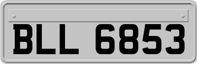 BLL6853