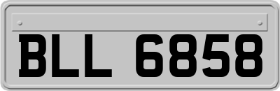 BLL6858