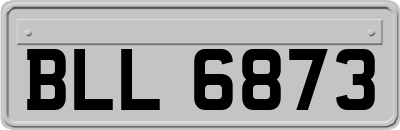 BLL6873