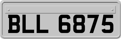 BLL6875