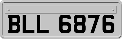BLL6876