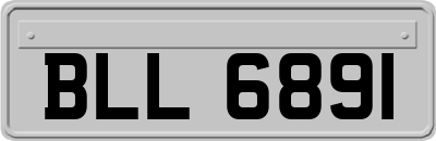 BLL6891