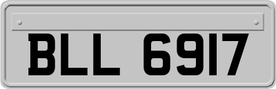 BLL6917