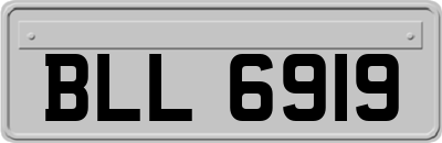 BLL6919