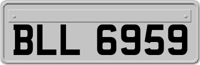 BLL6959