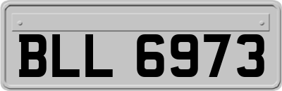 BLL6973