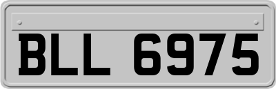 BLL6975