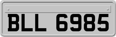 BLL6985