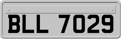 BLL7029