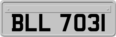 BLL7031