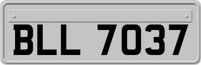 BLL7037