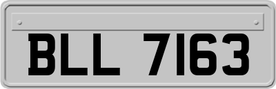 BLL7163