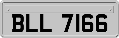 BLL7166