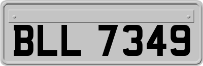 BLL7349