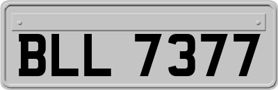 BLL7377