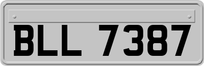 BLL7387